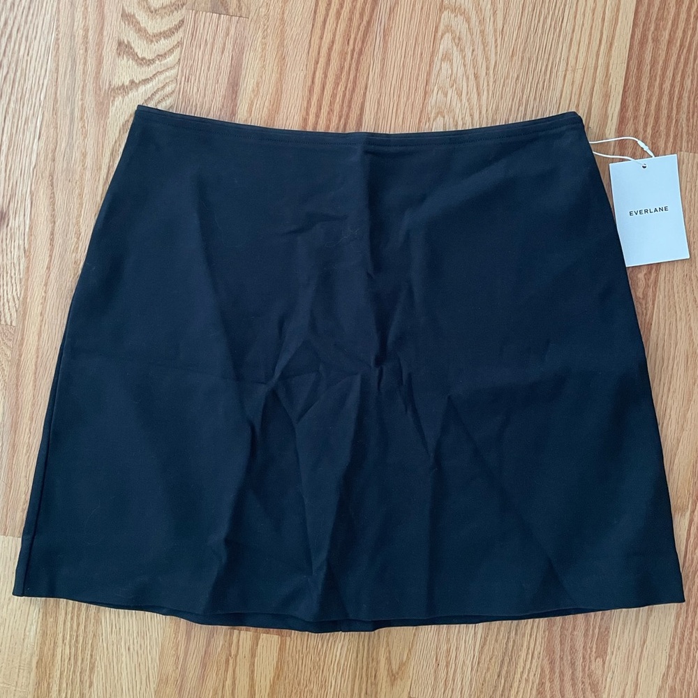 NWT Everlane The Dream Mini Skirt